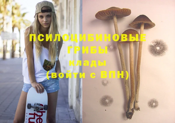 прущая мука Алзамай