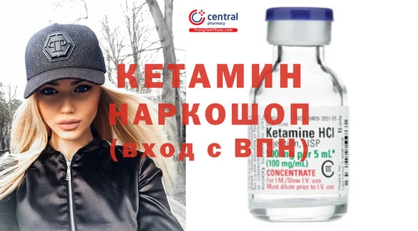 сатива Пересвет