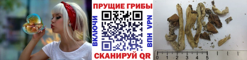 Галлюциногенные грибы мухоморы  где купить   Новоаннинский 